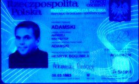 Materiał dowodowy Materiał porównawczy Materiał dowodowy Materiał dowodowy Materiał porównawczy Czy w