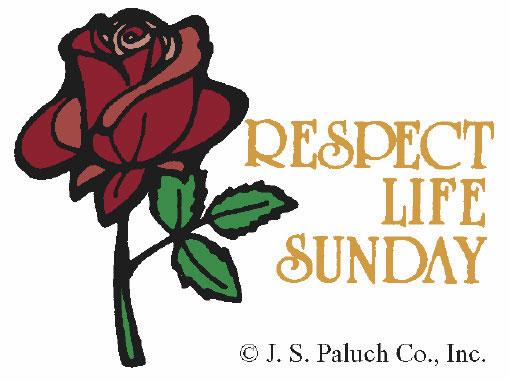 The sentiments expressed in today s first reading seem to be a direct reaction to the Gospel passage we heard last week.