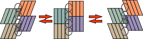 10. Hypothetical consequence of the change of fusiform cells orientation in cambium with chessboard pattern of cell packets.