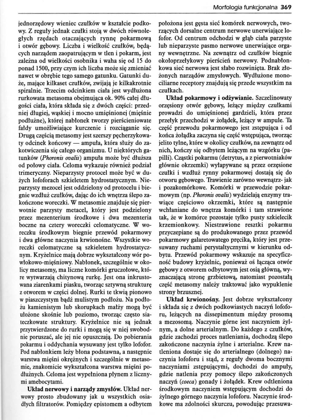 Morfologia funkcjonalna 369 jednorz?dowy wieniec czuikow w ksztalcie podkowy. Z reguly jednak czulki stoja. w dwoch rownolegiych rz?dach otaczajqcych rynn? pokarmow^ i otwor g?bowy.