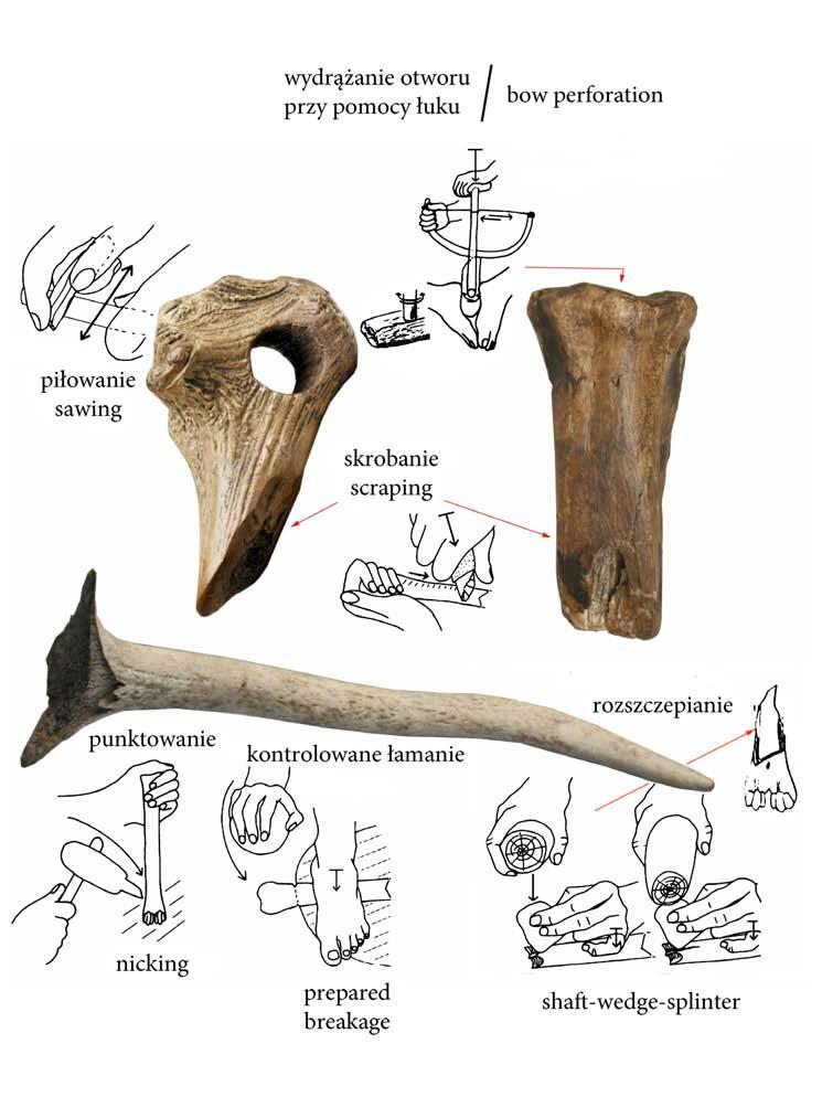 262 JACEK KABACIŃSKI, ÉVA DAVID, DANIEL MAKOWIECKI Ryc. 17. Krzyż Wielkopolski, stan. 7. Techniki wykorzystywane w produkcji narzędzi z poroża i kości. Wg É. David 2004b, s. 3, fot.