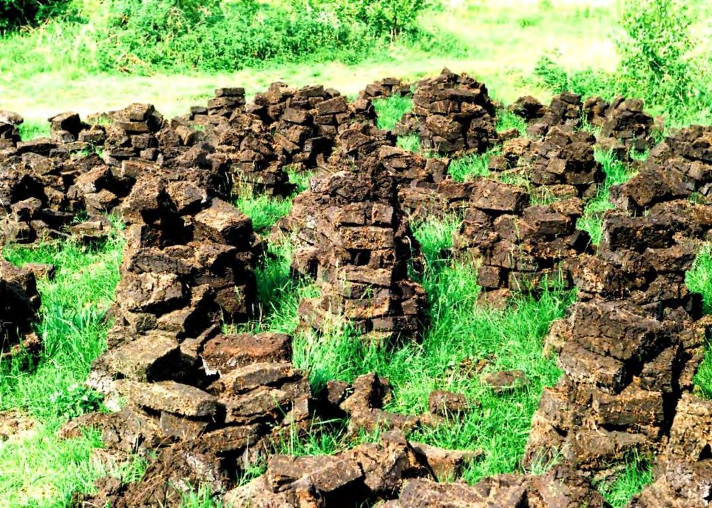 Ostatnie kopanie torfu nad Zwolenką Nad Zwolenką jednym z najbogatszych siedlisk życia oraz głównym siedliskiem żółwi są
