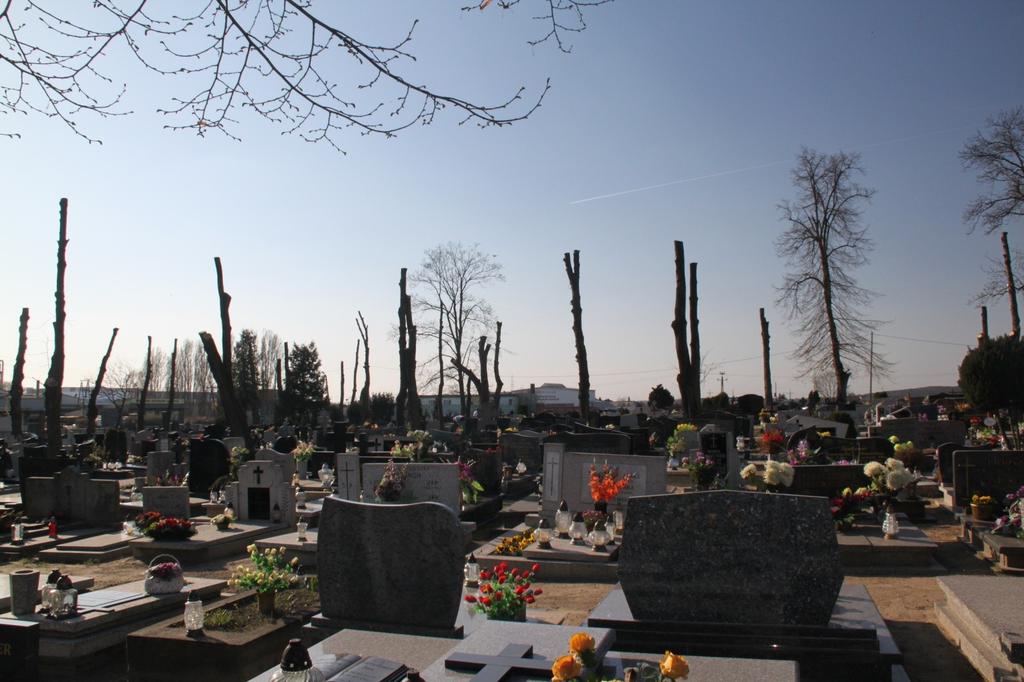 Pozostawione gałęzie na cmentarzu zostaną w najbliższym czasie zutylizowane.