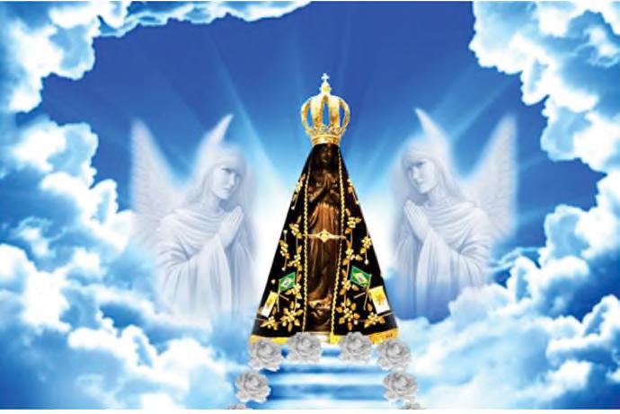 Wiele diecezji organizuje wielkie pielgrzymki diecezjalne do Narodowego Sanktuarium Aparecida, gdzie otrzymują figurę Patronki Brazylii, która następnie wędruje po parafiach i filialnych