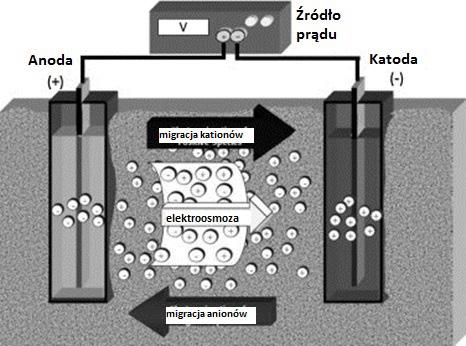 Technologie remediacji terenów zanieczyszczonych rtęcią 163 Rysunek 3. Schemat elektroremediacji Źródło: opracowanie własne.