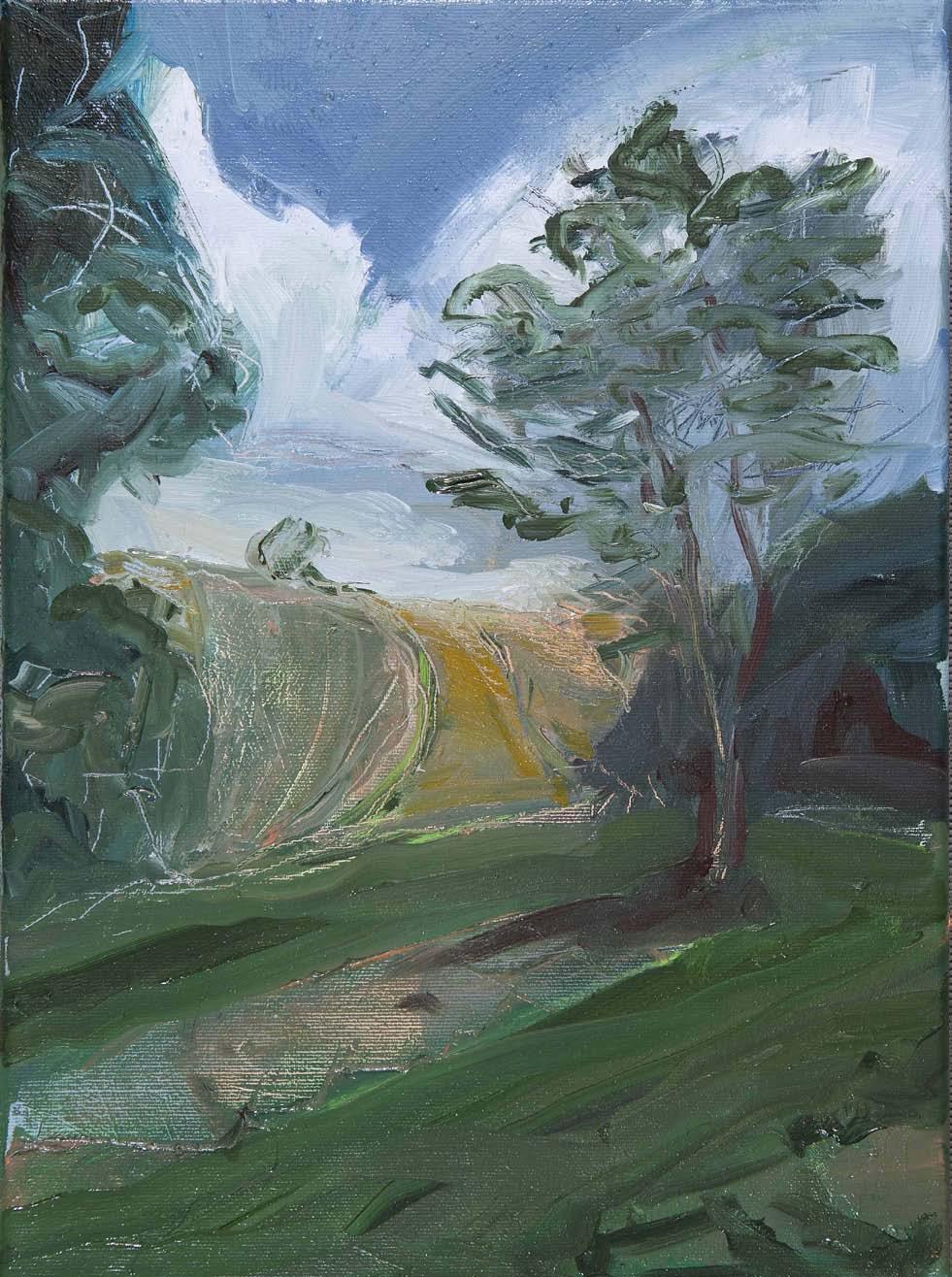 30x40 cm, 2012