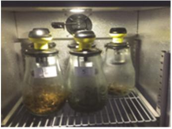 Możliwość wykorzystania substratów organicznych 405 Rys. 1. Stanowisko badań test AT 4 Fig. 1. The test bench AT 4 Rys.2. Stanowisko badań test BMP Fig. 2.