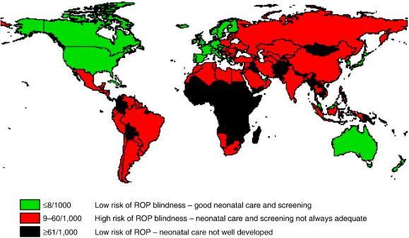 ROP na świecie Retinopathy of prematurity: A global perspective of the epidemics, population of babies at risk and implications for control Early Human Development. Gilbert, Clare.