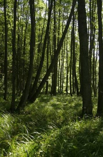 Modyfikacje gospodarki, jakie mogą być potrzebne Fot. B.