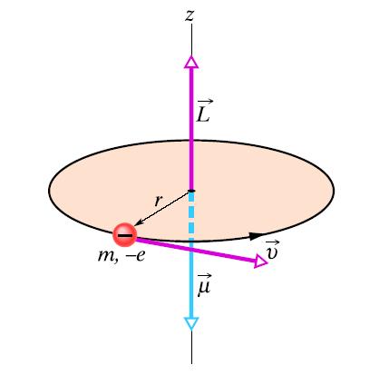 Przypomnienie: moment orbitalny elektronu L = l( l +1)h Poboczna (orbitalna) liczba