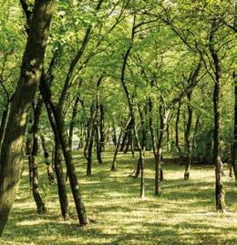 Wieloletnie prace naukowców, speleologów i górników doprowadziły do powstania systemu jaskiń o łącznej długości 392 m i różnicy wysokości między najniższym a najwyższym ich punktem wynoszącej 22 m.