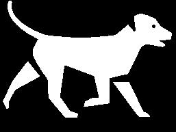 Tekst: Eva Carl Mały i bystry: West Highland White Terrier ma wprawdzie instynkt łowiecki, ale darzy sympatią dzieci i sprawdza się jako pies rodzinny.