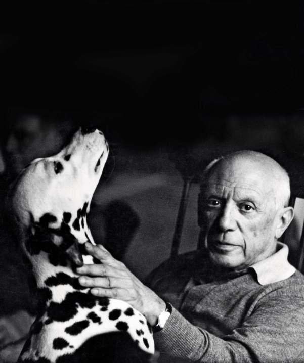 Psy wielka miłość Picassa Psy były obok malarstwa ogromną pasją Pabla Picassa. Bywały też modelami i pozowały do jego dzieł.