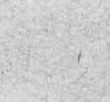 MS l/ml l «S4» l YW6 «35» 1 5U1