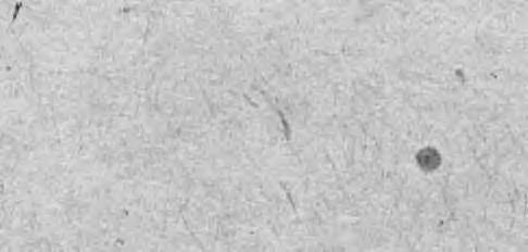 114.3 *192 UOJ.RRZEOS.