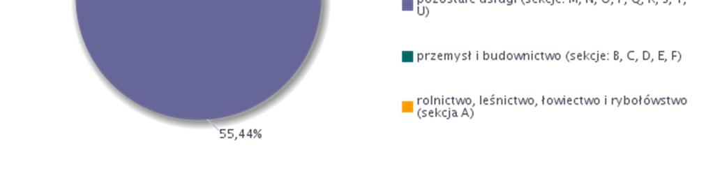 usugami (63,79%), przemysem i budownictwem (21,9%), handlem; naprawa pojazdów samochodowych, transport i gospodarka magazynowa, zakwaterowanie i gastronomia, informacja i