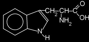 aspraginowy COOHCH 2 CH(NH 2 )COOH Asp fenyloalanina C 6 H 5 CH 2 CH(NH 2 )COOH Phe