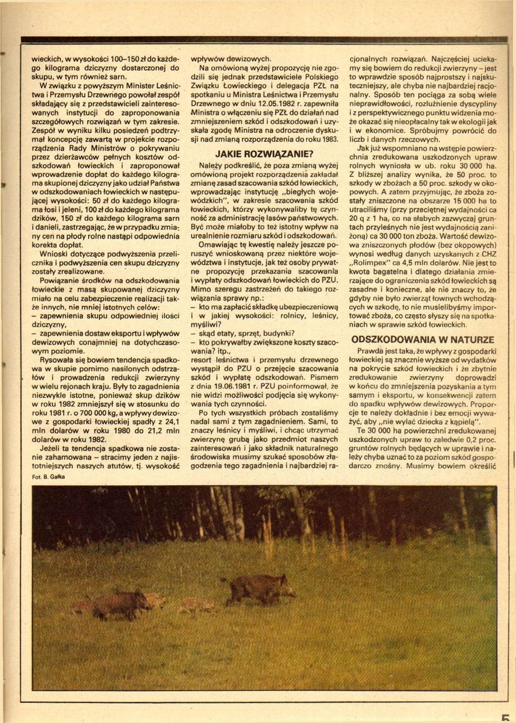 wieckich, w wysokości 100-150 zł do każdego kilograma dziczyzny dostarczonej do skupu, w tym również sarn.
