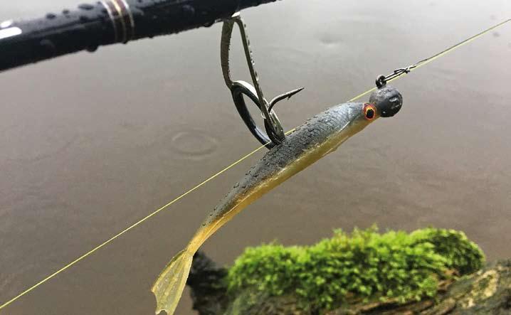 TEMAT WYDANIA źródło: Daiwa-Cormoran Sp. z o.o. Dużym zainteresowaniem klientów sklepów wędkarskich cieszą się przynęty Mermaid Shad DF z serii Prorex, które wykonano z miękkiego tworzywa.