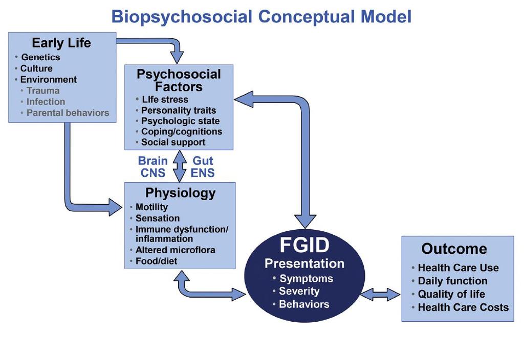 Wczesny okres życia Genetyka Kultura Środowisko trauma infekcje zachowanie rodziców Pojęciowy model biopsychosocjalny Czynniki psychosocjologiczne Stres życia Cechy osobowościowe Stan psychologiczny