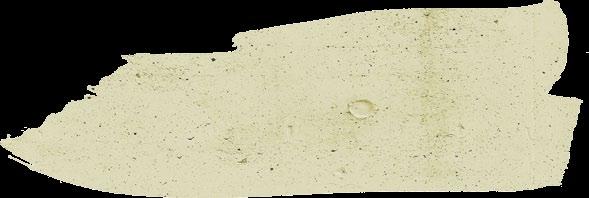OCYNK + RAL 7016 STRUKTURA -
