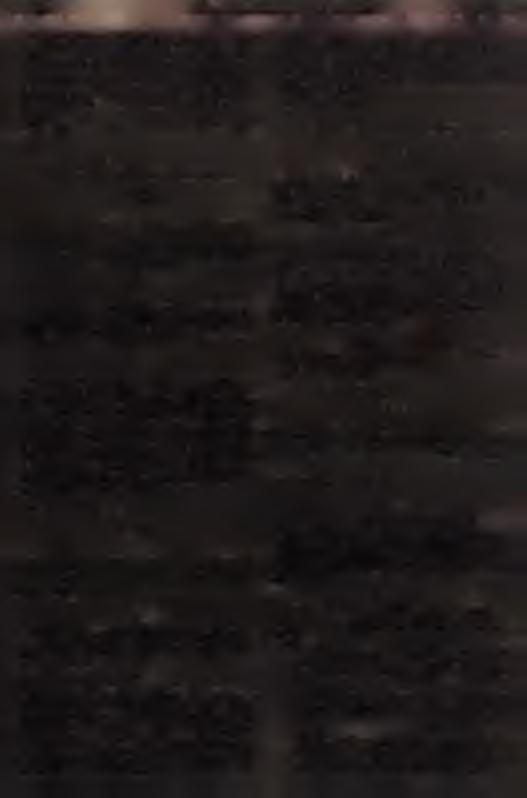 W nioski organów P.K.S. w wym ienionych wyżej spraw ach powinny być zaopiniowane przez Kom isję K oordynacji Przewozów w D.O.K.P. 4. Okólnik niniejszy wchodzi w życie z dniem ogłoszenia.
