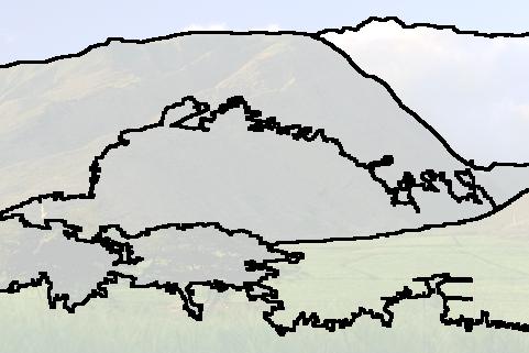 9825, n = 109 (e) α = 0.