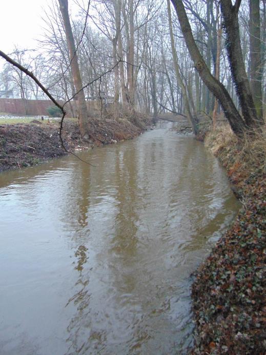 c) Lubsza od Uklejnej do Pstrąga (PLRW600019174871), naturalna część wód, rzeka nizinna piaszczysto-gliniasta (PGW Odry 2011, PGW Odry 2016): 2011: stan JCWP zły, cel środowiskowy niezagrożony (PGW
