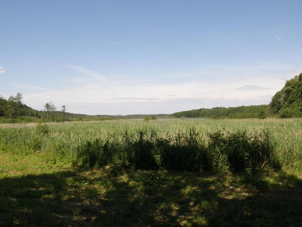 e) Jezioro Brody (Brodzkie, Parkowe) (PLLW10060), naturalna część wód, jezioro o wysokiej zawartości wapnia, o dużym wypływie zlewni, niestratyfikowane na Niżu Środkowopolskim (PGW Odry 2011, PGW