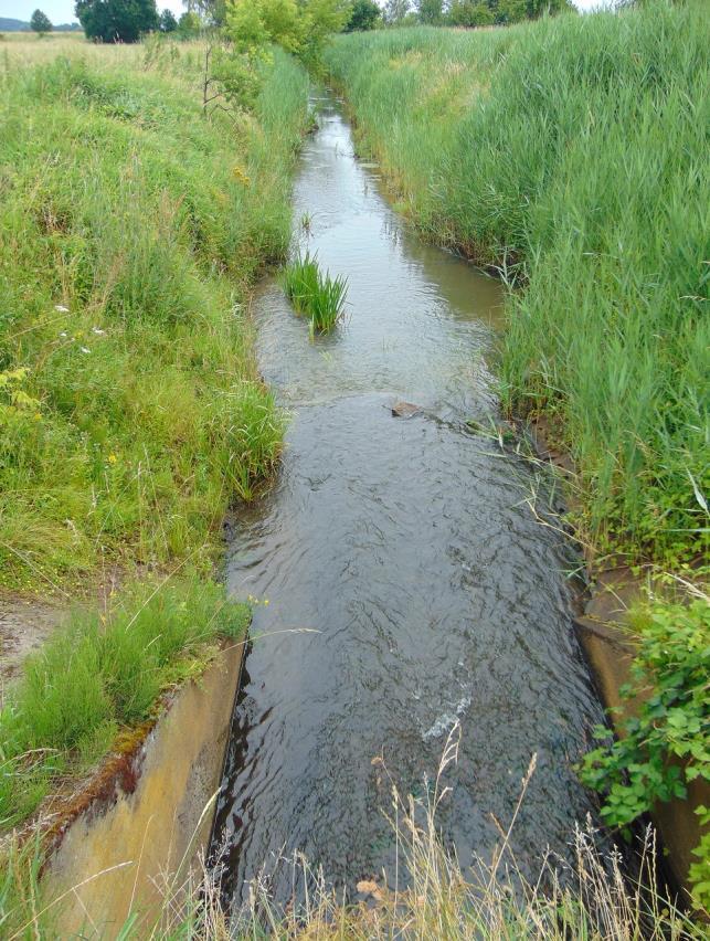 h) Ilna (PLRW600017174774), silnie zmieniona część wód, potok nizinny piaszczysty (PGW Odry 2011, PGW Odry 2016) 2011: stan zły, cel środowiskowy niezagrożony (PGW Odry 2011) 2016: stan zły, cel