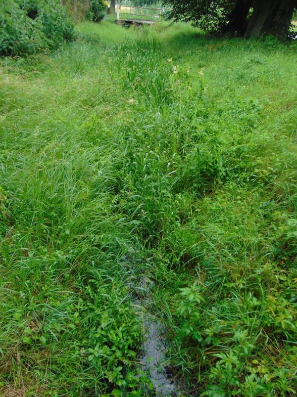 k) Wełnica (PLRW600017174892), silnie zmieniona część wód, potok nizinny piaszczysty (PGW Odry 2011, PGW Odry 2016) 2011: stan zły, cel środowiskowy niezagrożony (PGW Odry 2011) 2016: stan zły, cel