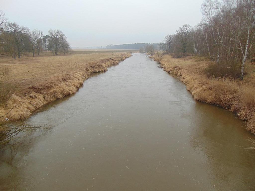 m) Nysa Łużycka od Lubszy do Odry (PLRW600019174999), naturalna część wód, rzeka nizinna piaszczysto-gliniasta (PGW Odry 2011, PGW Odry 2016) 2011: stan zły, cel środowiskowy niezagrożony (PGW Odry