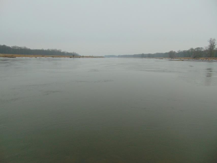 n) Odra od Nysy Łużyckiej do Warty (PLRW60002117999), silnie zmieniona część wód, wielka rzeka nizinna (PGW Odry 2011, PGW Odry 2016) 2011: stan zły, cel środowiskowy zagrożony (PGW Odry 2011) 2016: