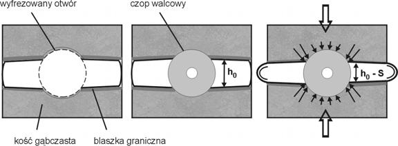 58 Lechosław F. Ciupik, Agnieszka Kierzkowska, Jerzy Pieniążek, Daniel Zarzycki a) b) c) Rys.4.