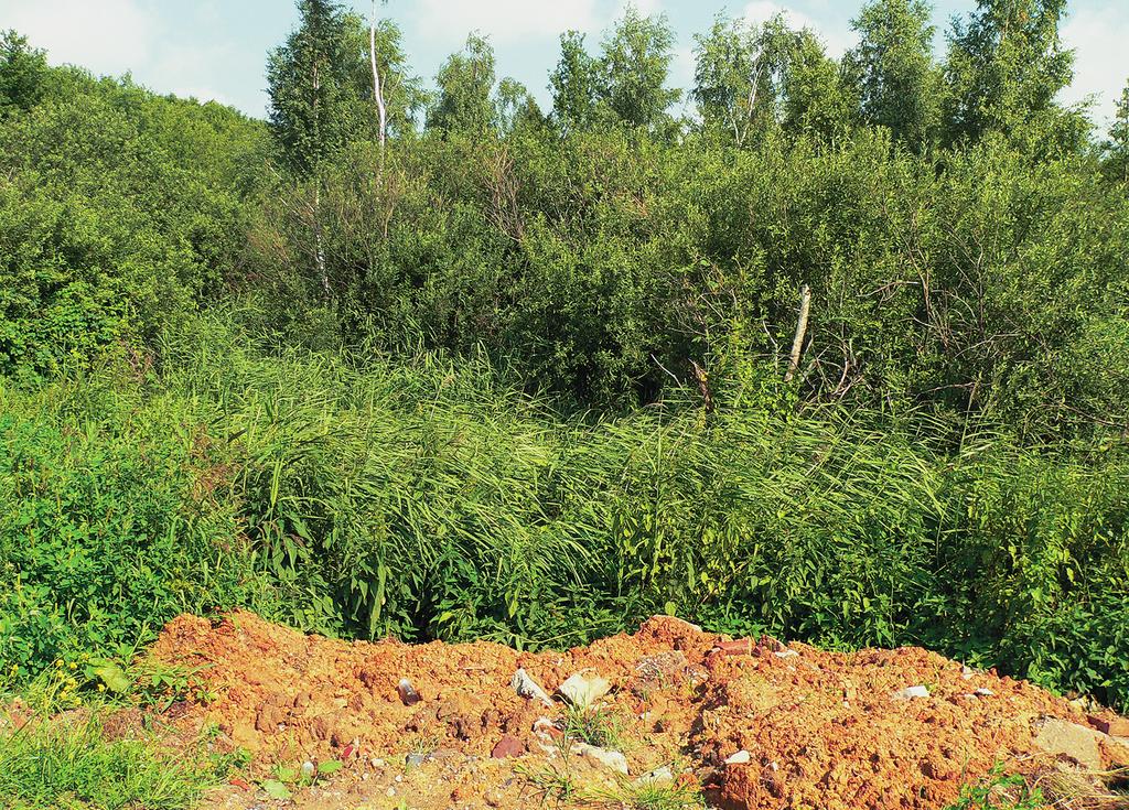 General view of the Torfowisko Kunickie Nature Reserve (phot. E. Szczê niak) Ryc.