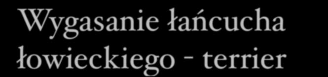 Wygasanie łańcucha łowieckiego - terrier ucieczka unikanie obrona społeczne +