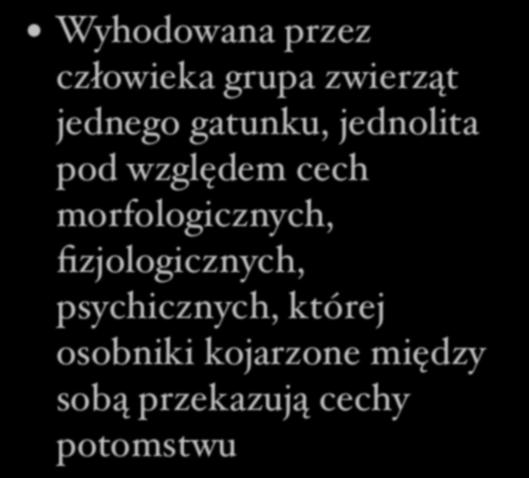 Rasa Wyhodowana przez człowieka grupa zwierząt jednego gatunku,