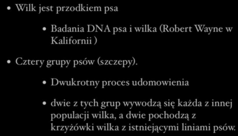 Skąd wziął się pies? Wilk jest przodkiem psa Badania DNA psa i wilka (Robert Wayne w Kalifornii ) Cztery grupy psów (szczepy).