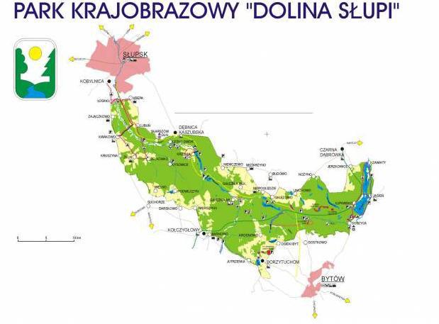 Według podziału Polski na regiony Kondracki, obszar Gminy należy do Regionu Południowobałtyckiego, makroregionu Pobrzeże Koszalińskie., mezoregionu Równina Słupska.