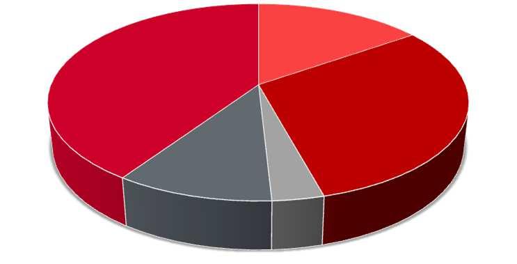 Zestawienie sprzedaży PLG-COSME Wartość udzielonych gwarancji wg Polskiej Klasyfikacji Działalności Usługi 35% Przemysł 13% Usługi 43% Pozostałe 6% Budownictwo 12% Budownictwo 12% Handel 34% Liczba