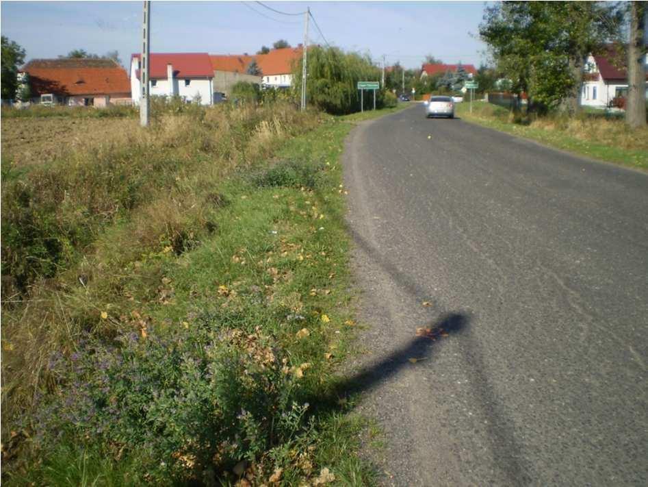 Budowa chodnika w Nowej Męcince