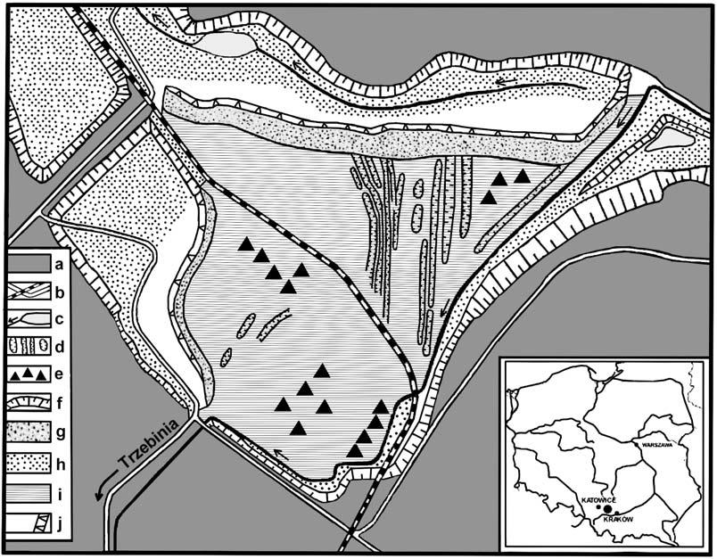 M. W. Woch: Szata roślinna wyrobiska 283 Ryc. 1.