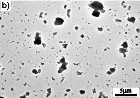 Microstructure and mechanical properties of AA7475/AlN compacts with varied reinforcing particles size 179
