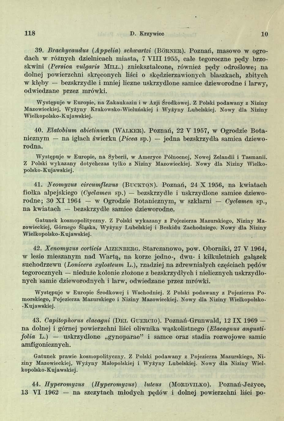 118 D. Krzywiec 10 39. Brachycaudus (Appelia) sehwartzi (Borner). Poznań, masowo w ogrod ach w różnych dzielnicach m iasta, 7 V I I I 1955, całe tegoroczne pędy brzoskwini (Persica vulgaris Mil l.