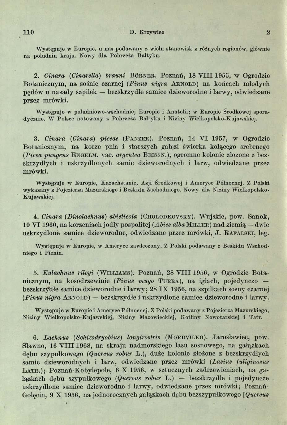 110 D. Krzywiec 2 W ystępuje w Europie, u nas podawany z wielu stanowisk z różnych regionów, głównie na południu kraju. Nowy dla Pobrzeża Bałtyku. 2. Cinara (Cinarella) brauni B orner.