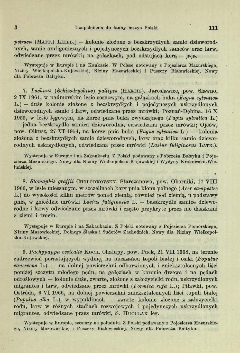 3 Uzupełnienia do fauny mszyc Polski 111 petraea (Matt.) L ie b l.