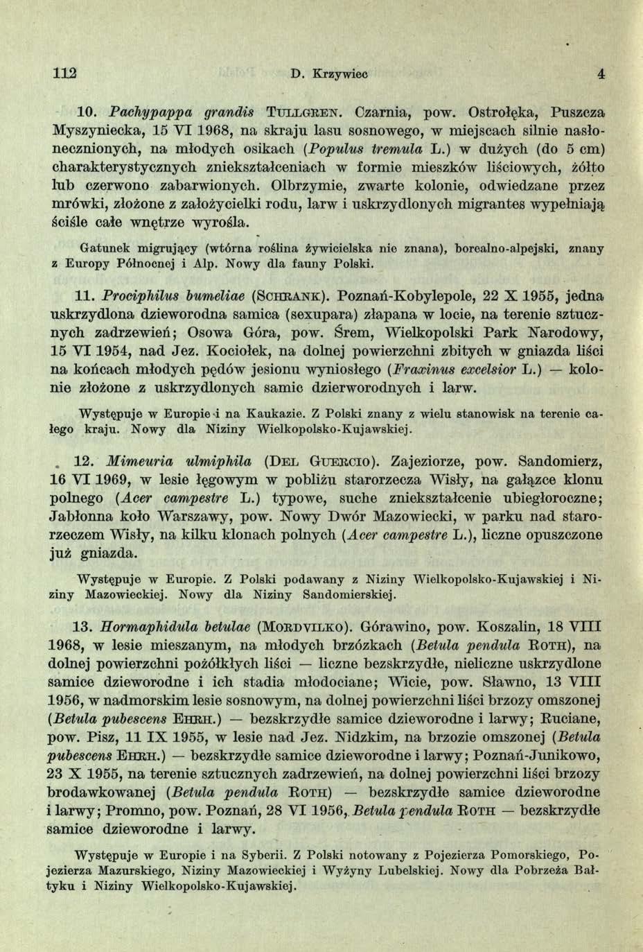 112 D. Krzywico 4 10. Pachypappa grandis T t j l l g r e n. Czarnia, pow.