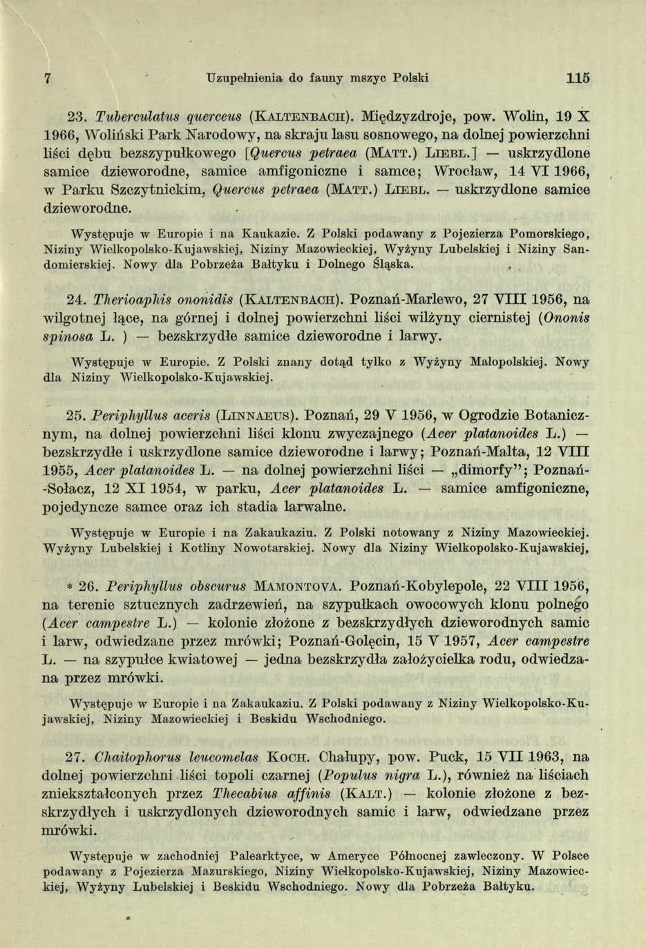 7 Uzupełnienia do fauny mszyc Polski 115 23. Tuberculatus querceus (K altenbach). Międzyzdroje, pow.