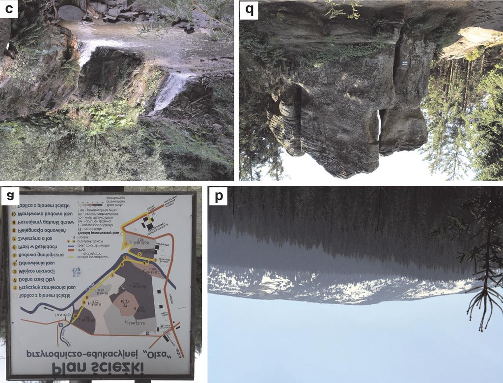 Przegl¹d Geologiczny, vol. 61, nr 5, 2013 Ryc. 4. Wybrane geostanowiska geoparku. A tablica œcie ki dydaktycznej w dolinie Olzy w Istebnej; B kopu³a grzbietowa Pilska w Beskidzie Wysokim.