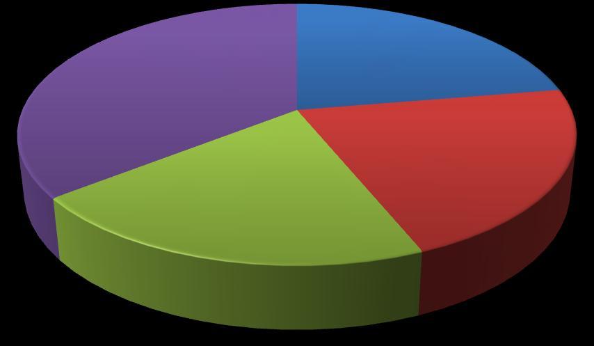 Akcjonariat 22,37% 35,62% Altraves Limited Wojciech Przyłęcki Azaraco Limited Pozostali